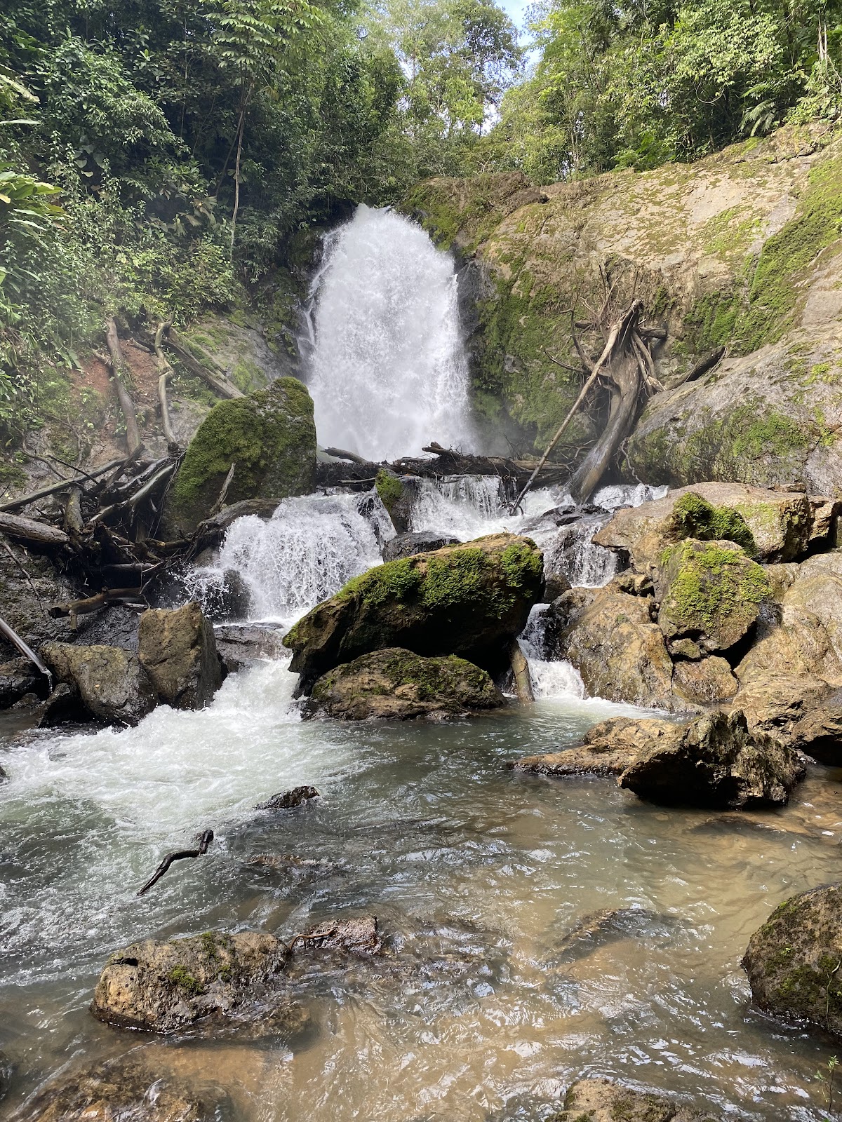 Los Patos, Osa y Corcovado