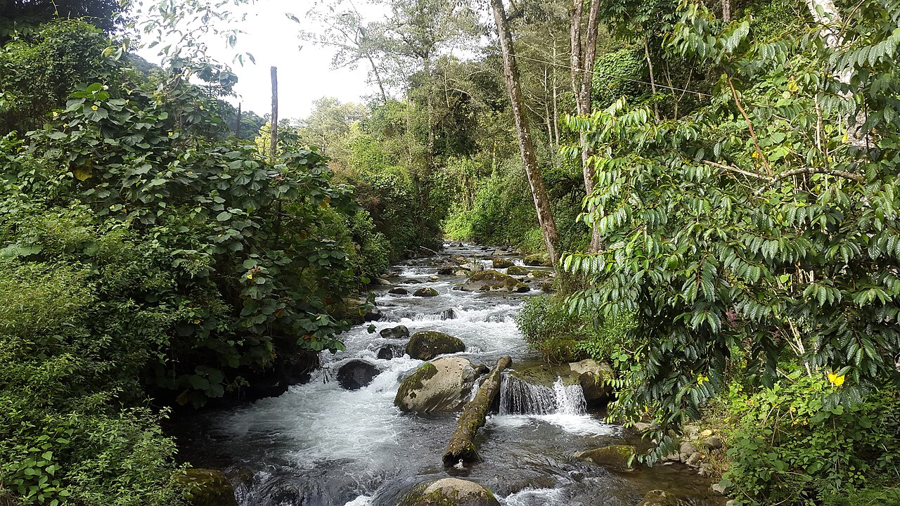 Parque Nacional Los Quetzales, Dota