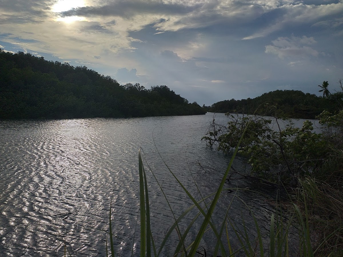 Playa Platanares, Golfo Dulce