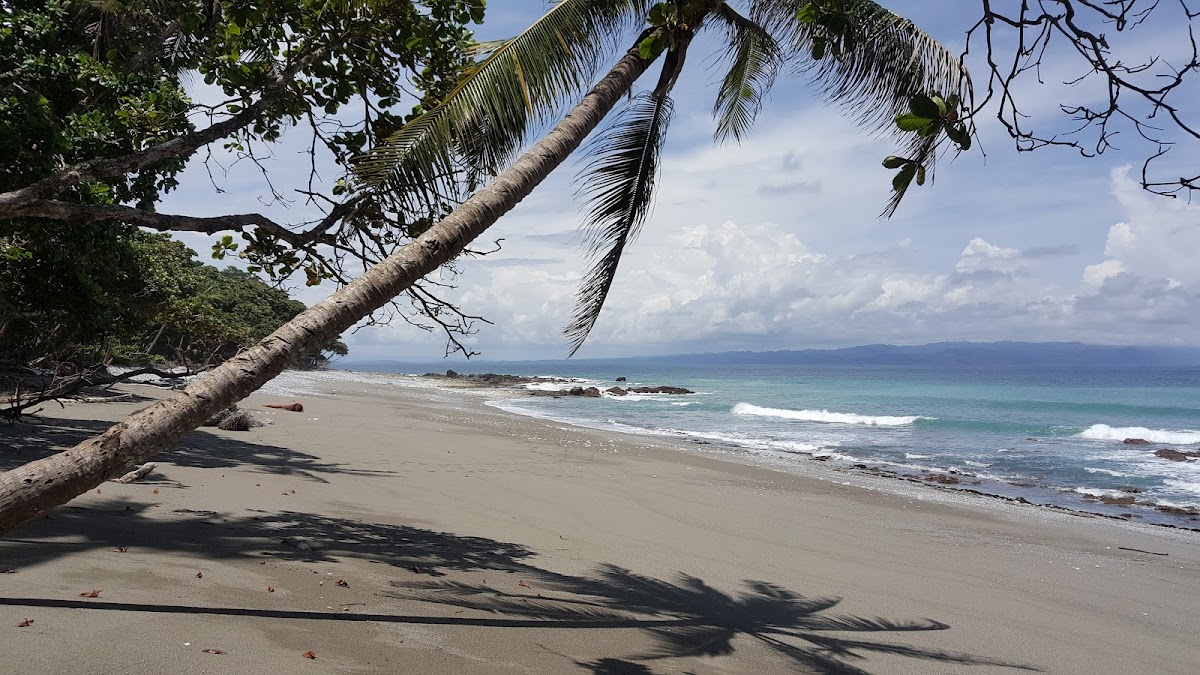 Puerto Jiménez, Golfo Dulce