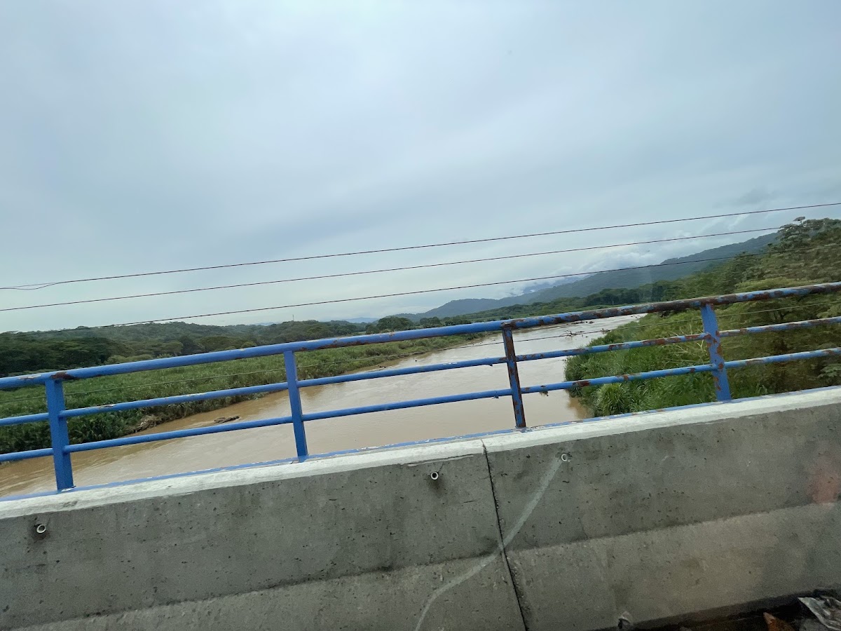 Puente de Crocodilos (Río Tarcoles), Jacó