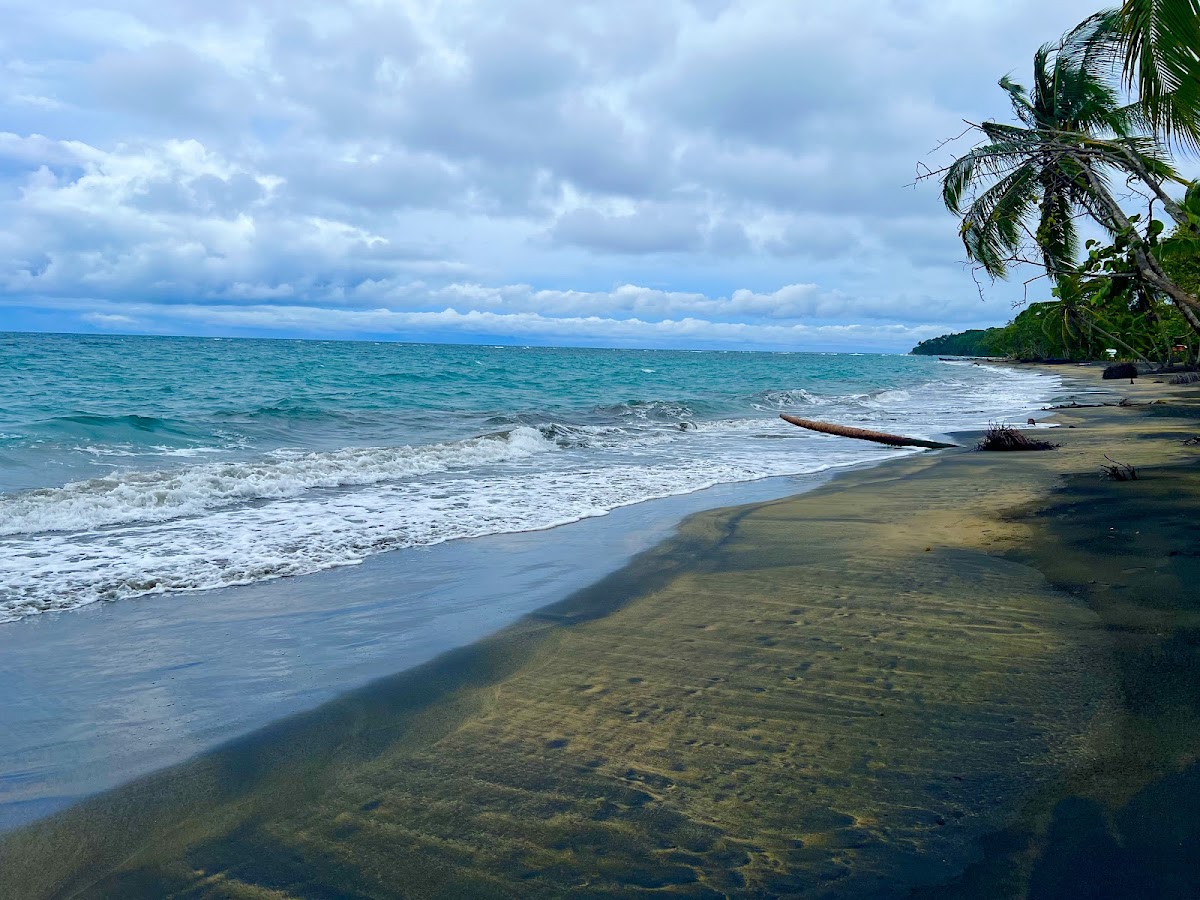 Playa Manzanillo, Manzanillo