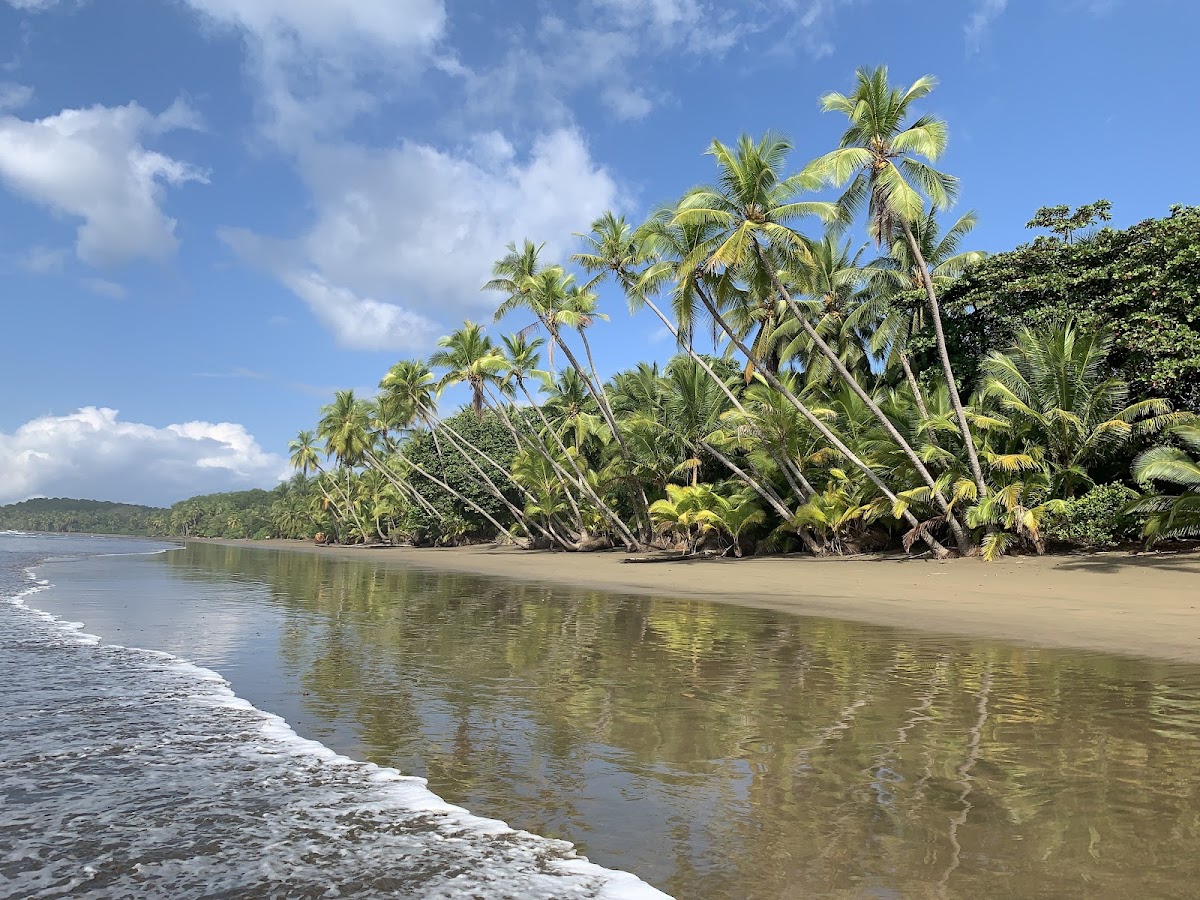 Parque Nacional Marino Ballena, Parque Nacional Marino Ballena