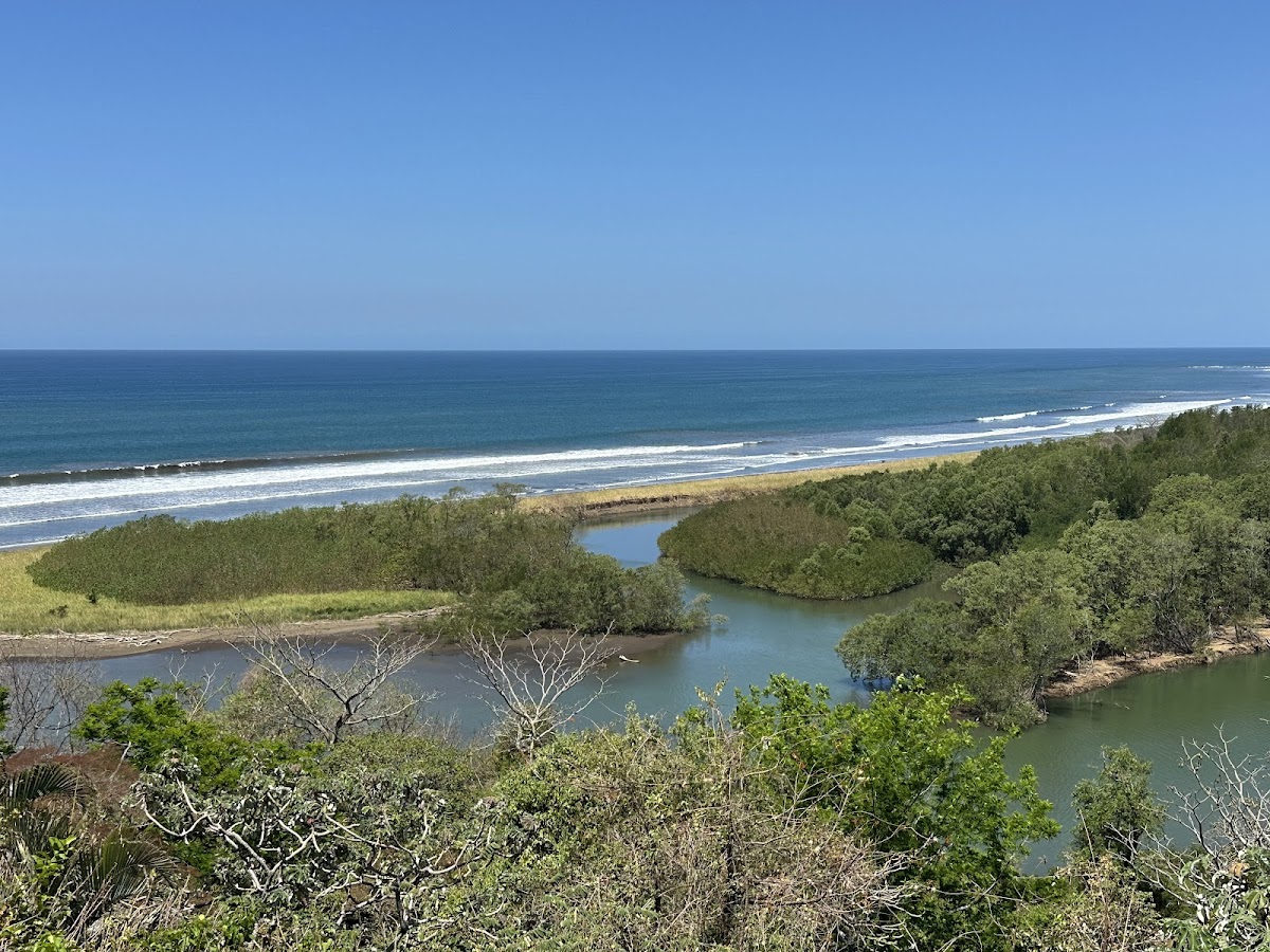 Estuario del Nosara, Nosara