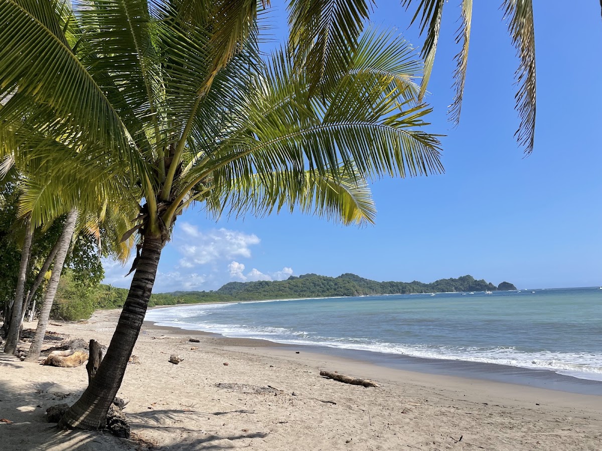Playa Garza, Nosara