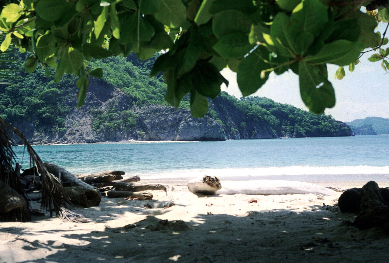 Playa Tortuga, Ojochal