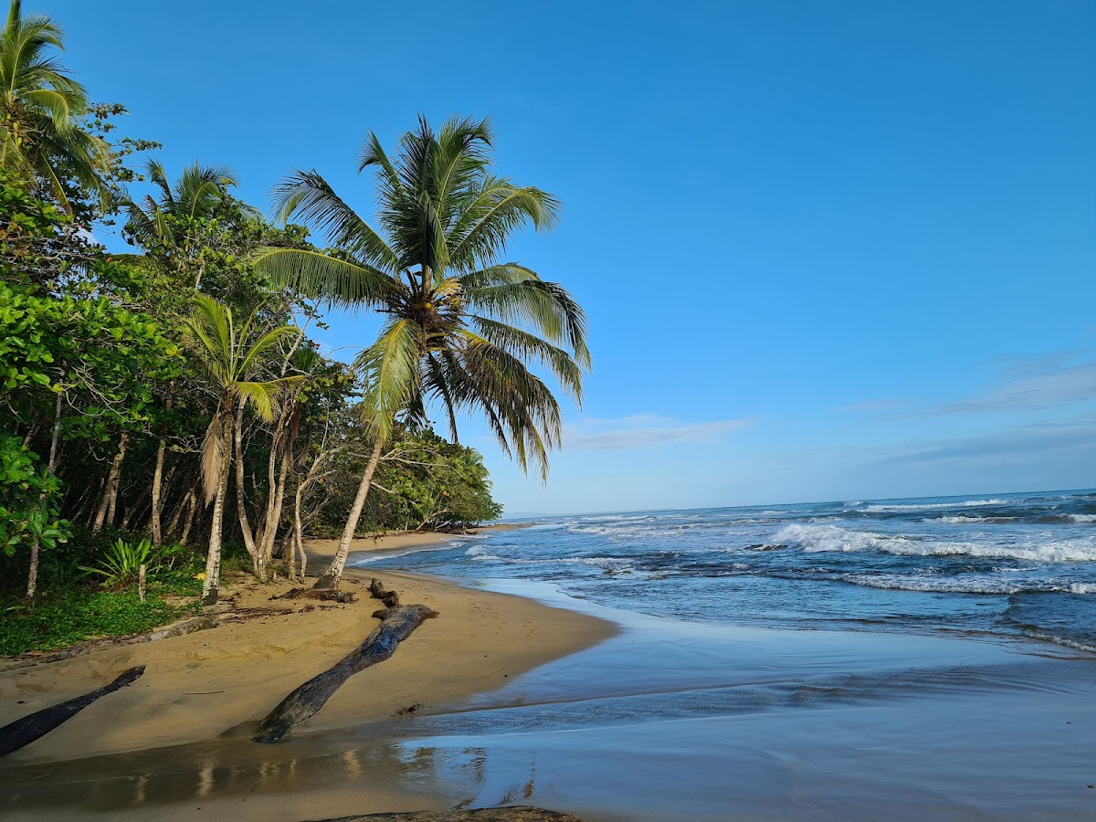 Playa Chiquita, Puerto Viejo