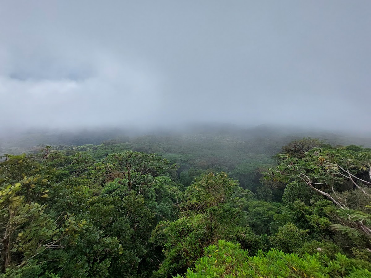 Santa Elena, Monteverde — Costa Rica Travel TV