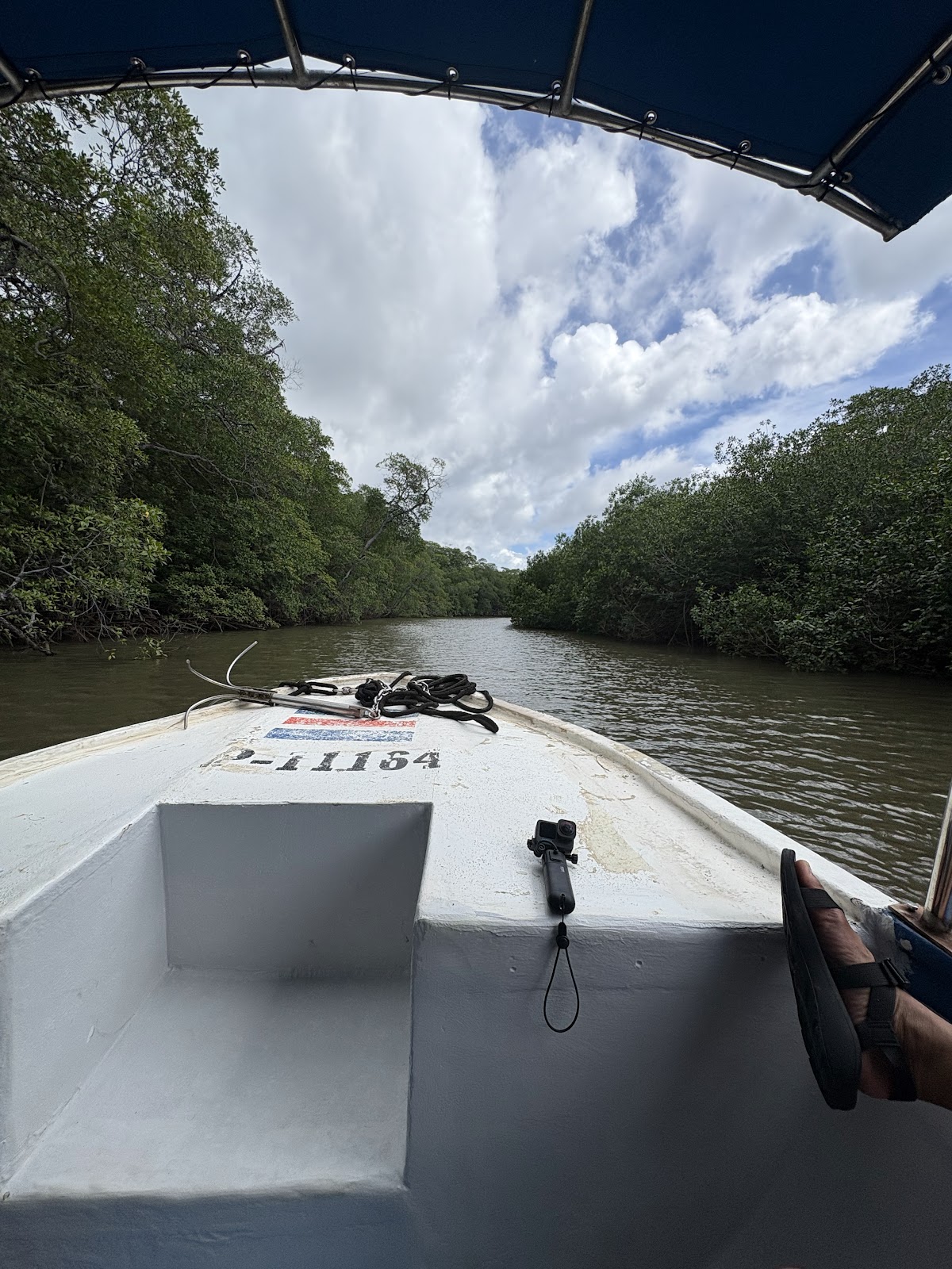 Estero de Tamarindo, Tamarindo