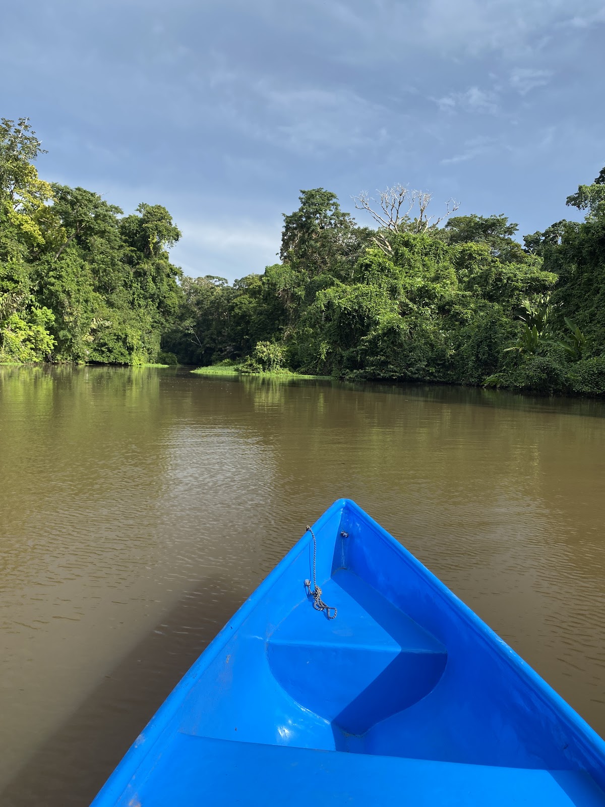Canales de Tortuguero, Tortuguero