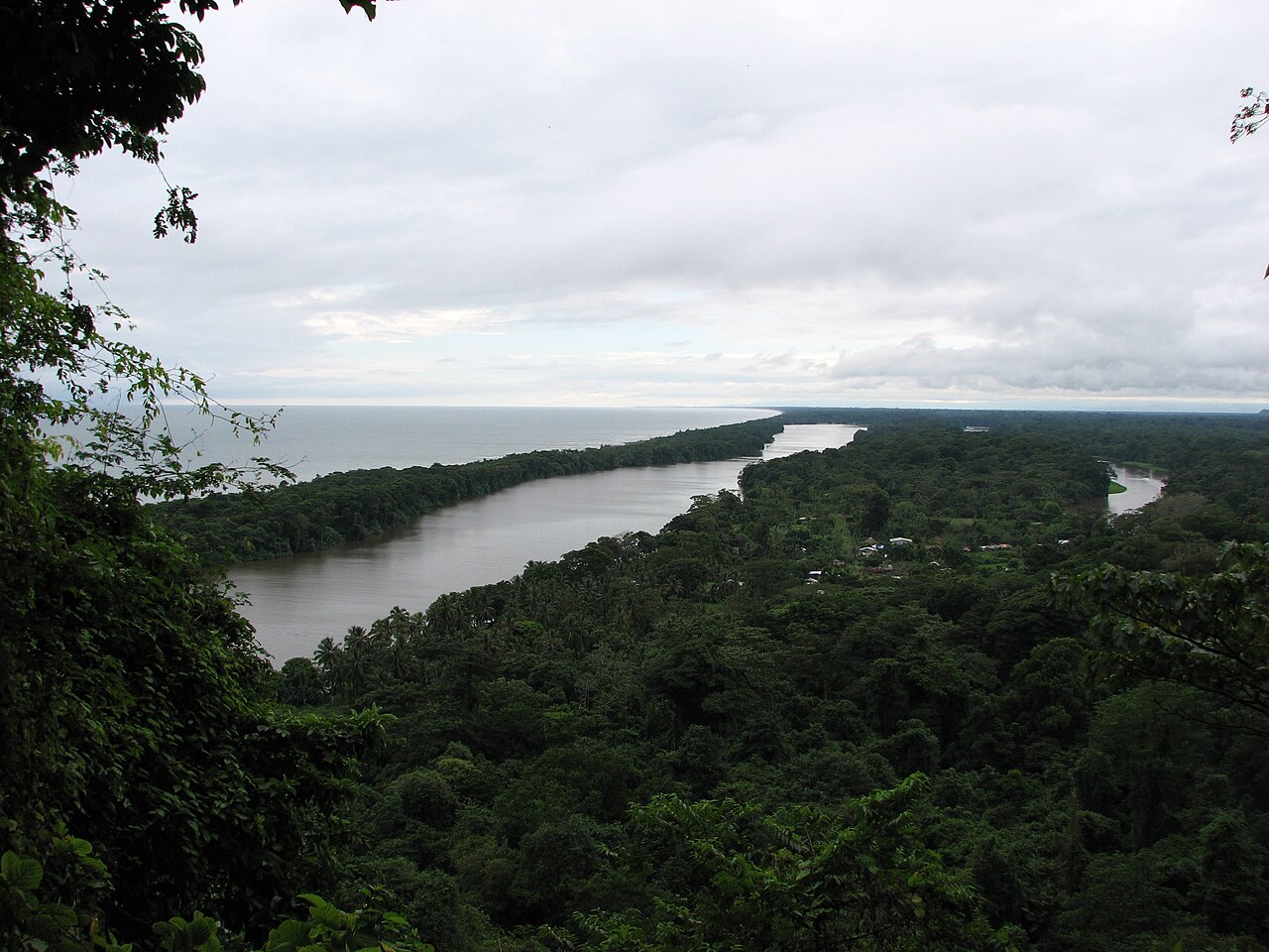 Cerro Tortuguero, Tortuguero