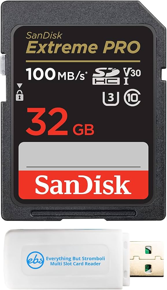 SanDisk