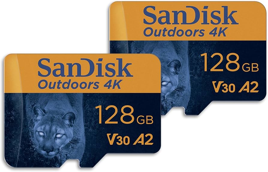 SanDisk Extreme