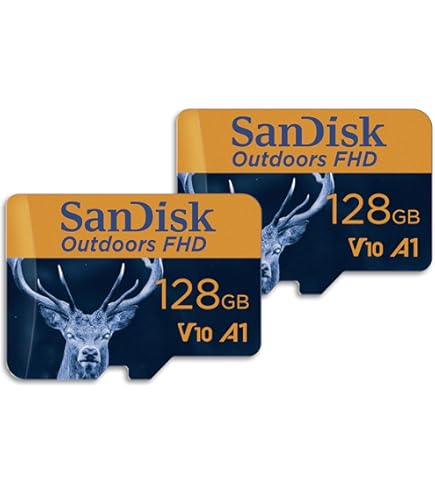 SanDisk Extreme