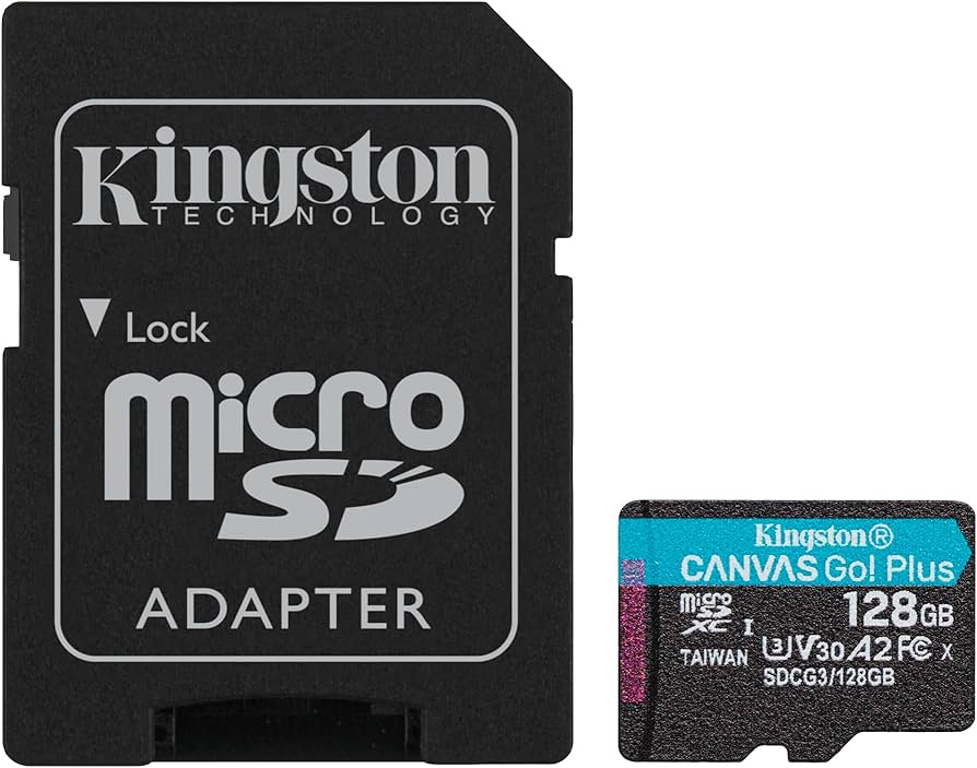 Kingston Canvas Go! Plus