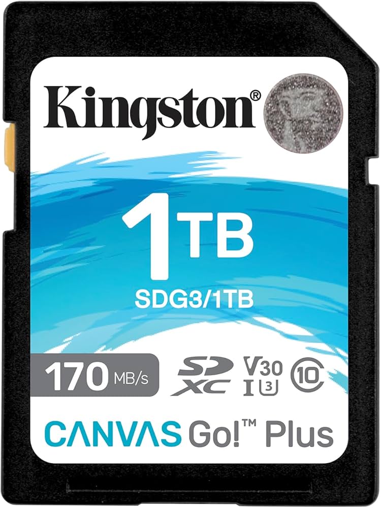 Kingston Canvas Go! Plus