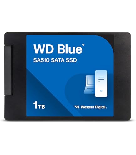 WD Blue SA510 WDS100T3B0A