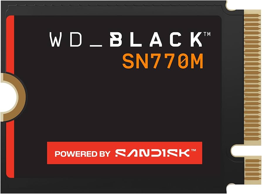 WD_BLACK SN770M WDS100T3X0G