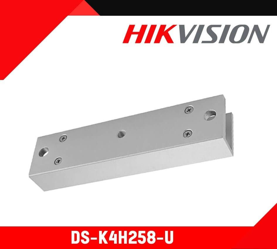 Hikvision