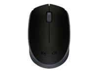 Logitech M170
