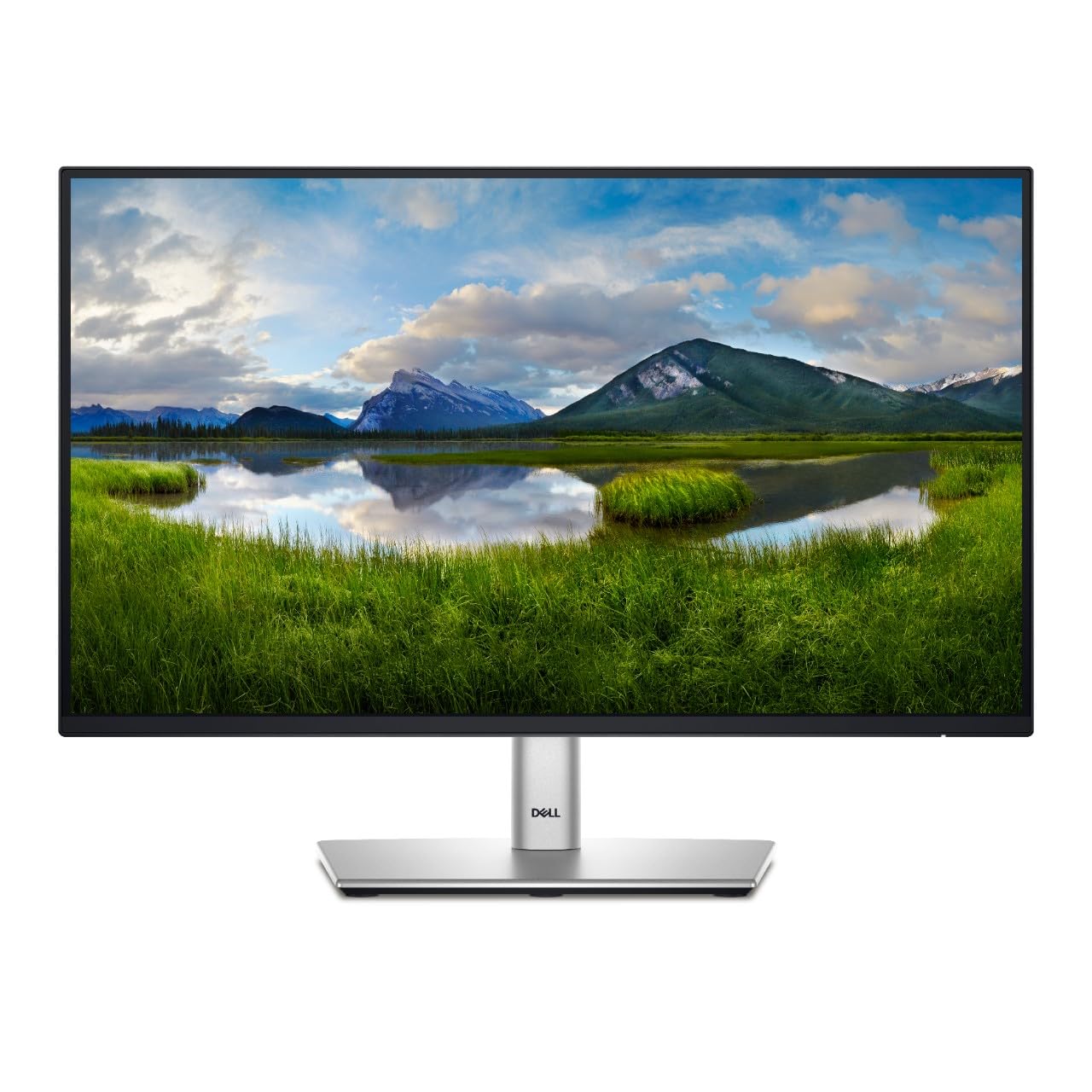 Dell DELL-P2424HT