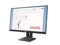 Lenovo ThinkVision E24-40