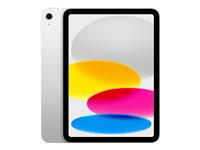 Apple iPad